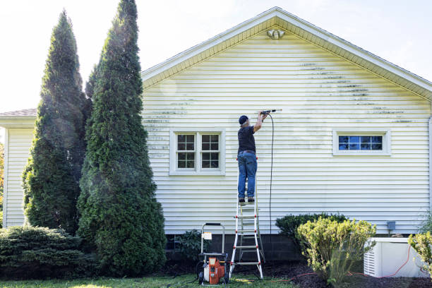Best Roof Washing  in Holiday Valley, OH